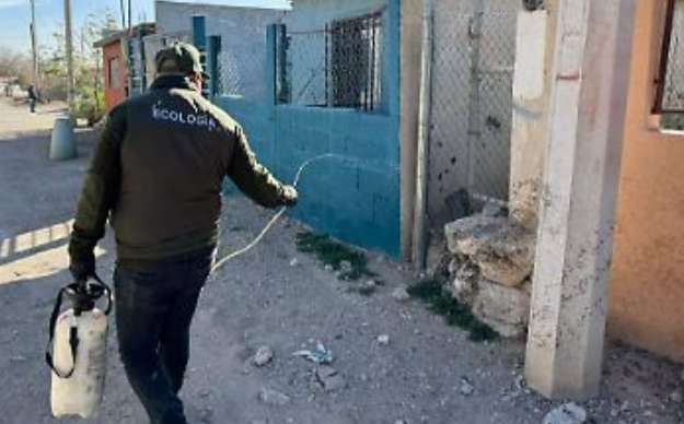 Refuerzan fumigaciones contra garrapatas y chinches 
