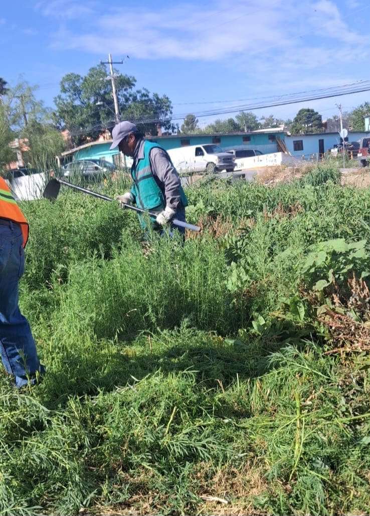 Fortalece Municipio cuidado de espacios públicos