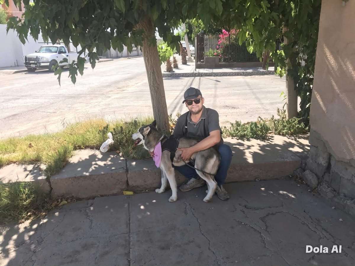 Regresa Sasha a las calles y atrae atención 