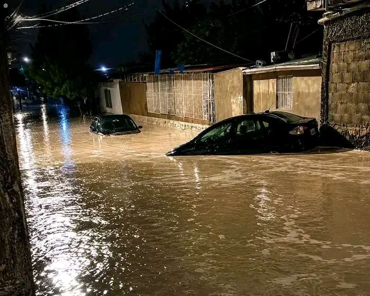 Lluvias fuertes y vientos dejan inundaciones y árboles caidos