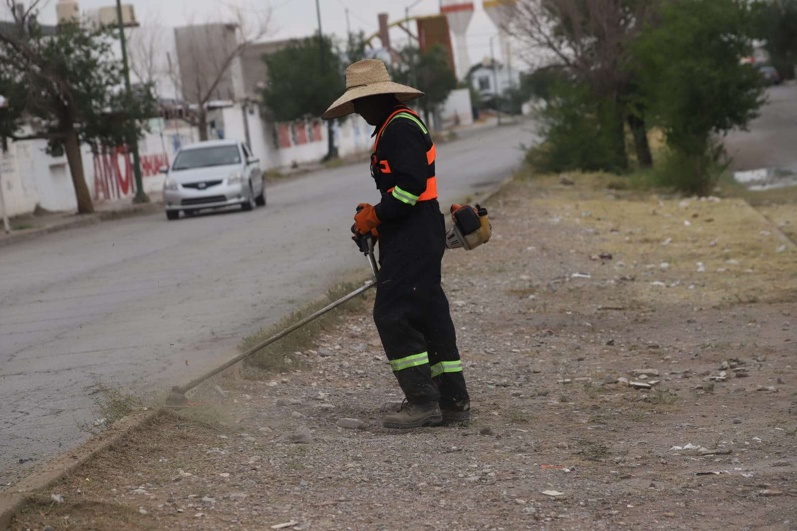 Realizan limpieza y poda en camellón de la Yepómera