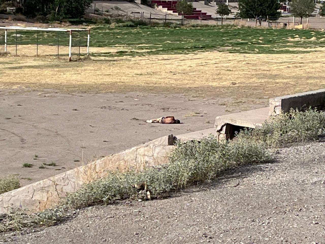 Localizan a hombre sin vida en terreno de la Hidalgo