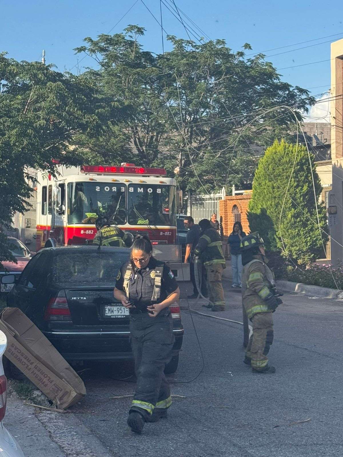 Alarma en Campo Bello por incendio de palmera de 5 metros 