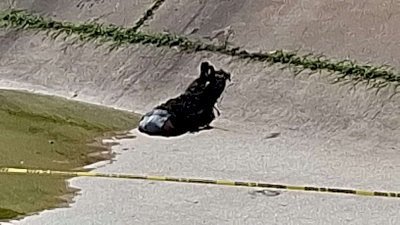 Detienen a uno implicado con muerto en canal de la Teófilo Borunda