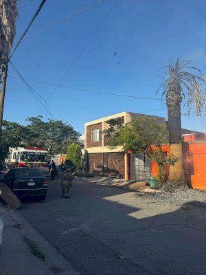 Alarma en Campo Bello por incendio de palmera de 5 metros 