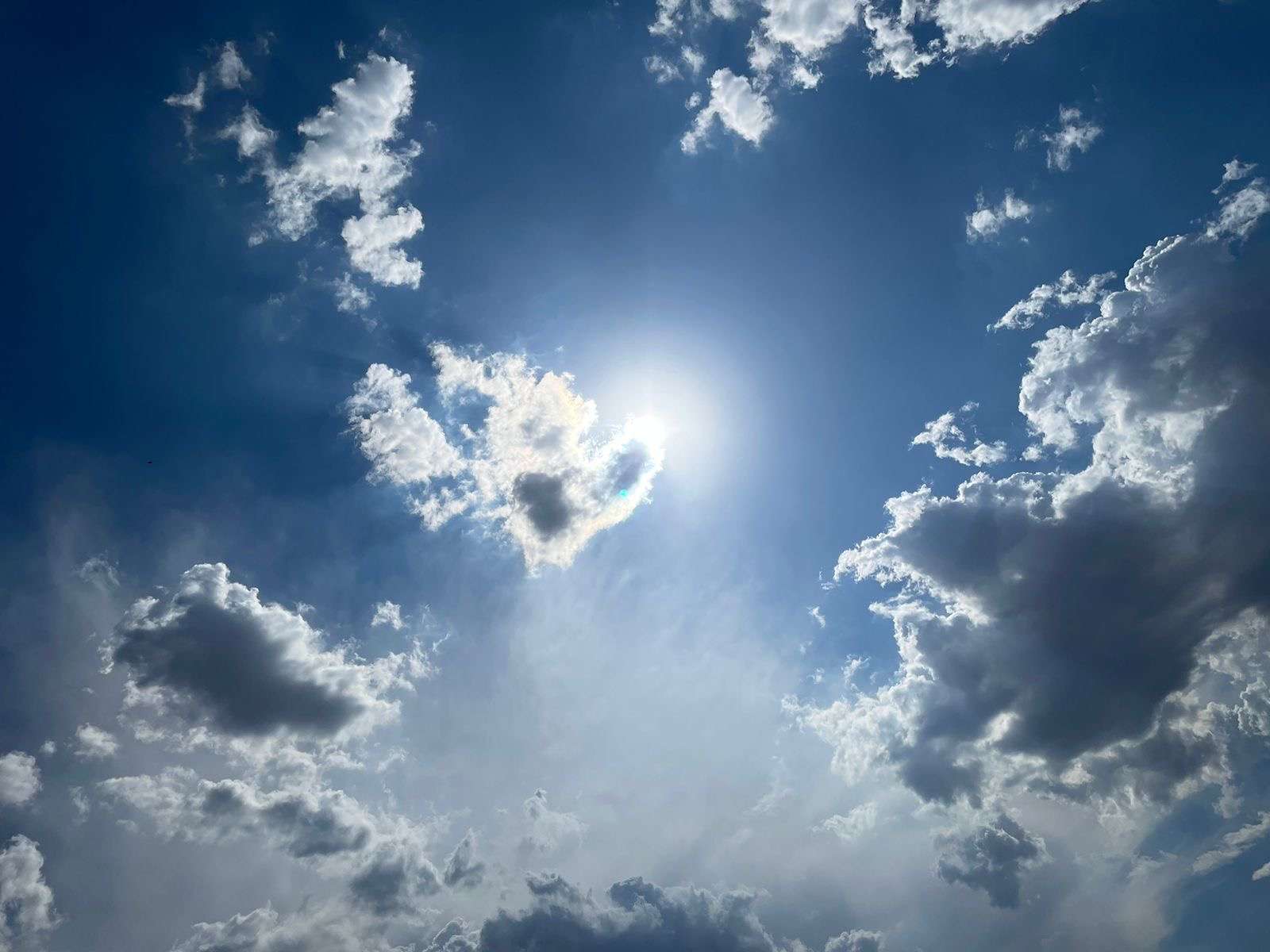Se espera día caluroso con máxima de 38 grados centígrados 