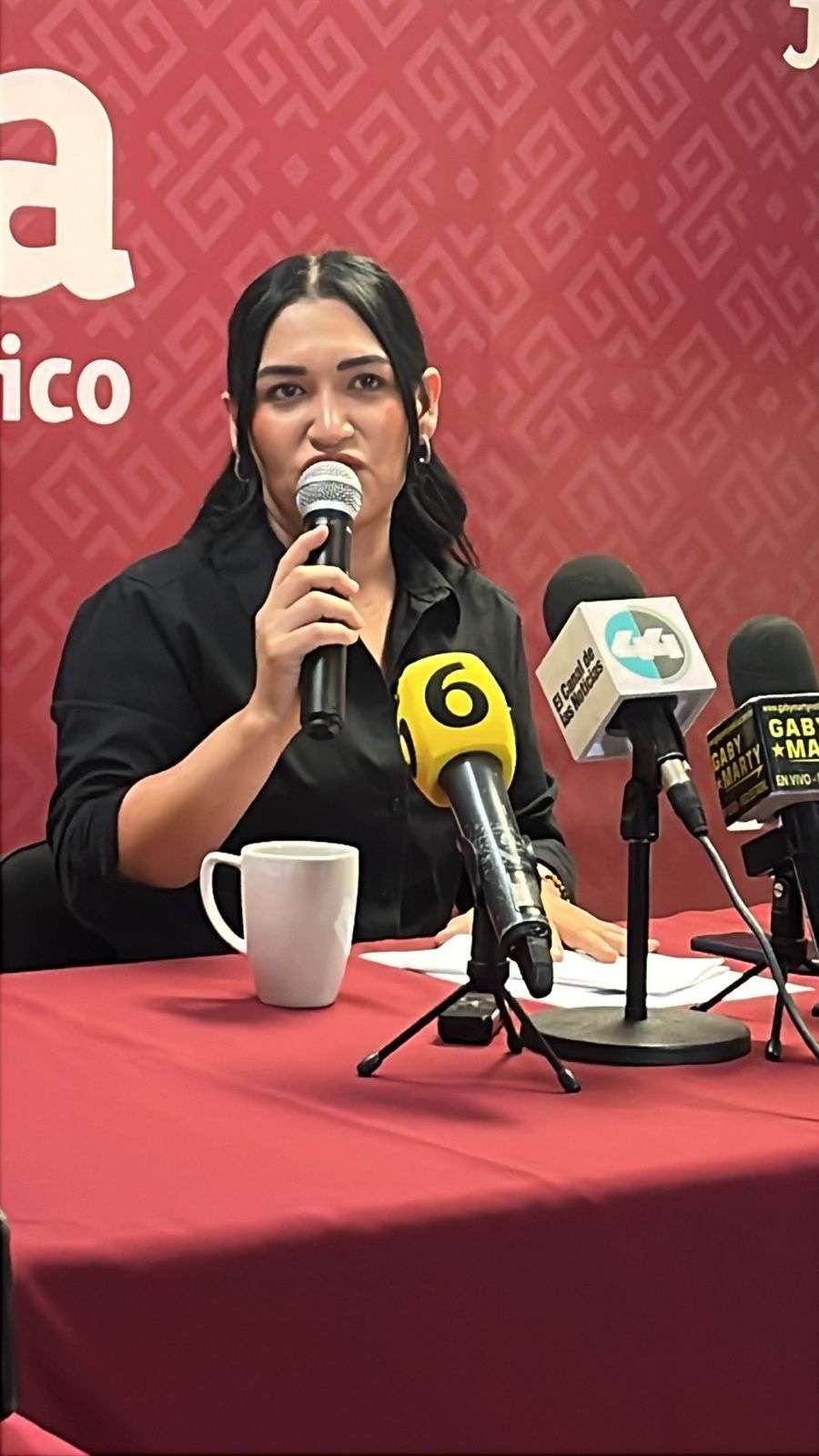 Inicia mañana proceso para definir coordinación estatal en Morena 
