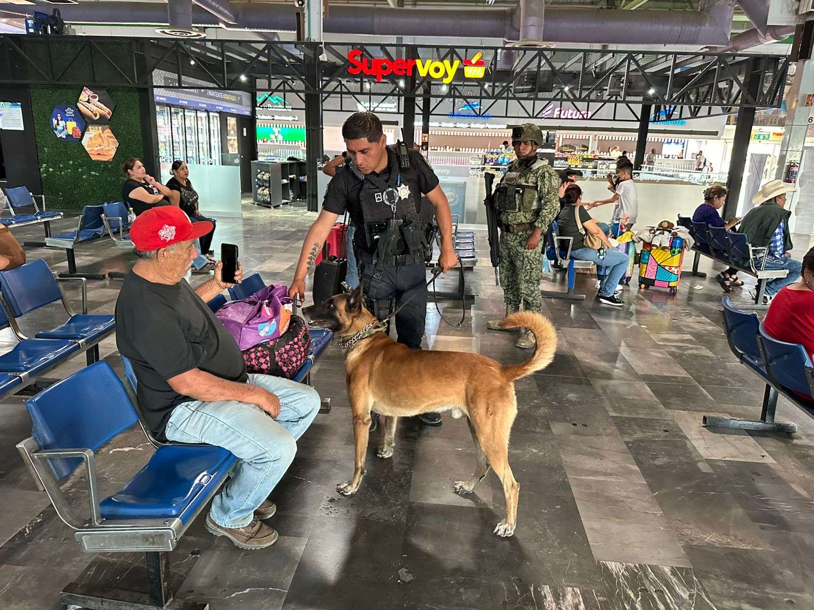 Refuerzan vigilancia policial y canina en la Central de Autobuses