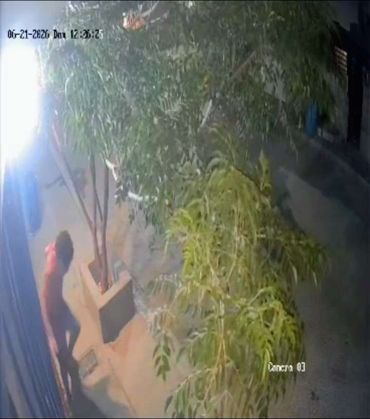 Ataca Pitbull a adolescente en Portal del Roble I 