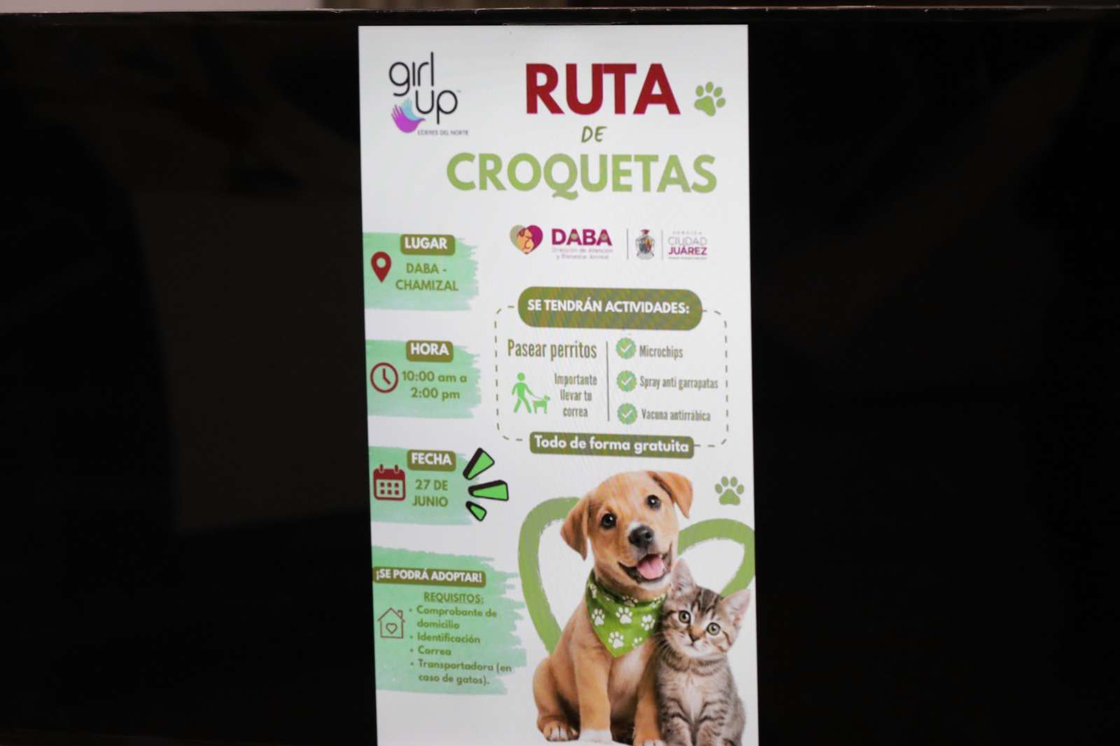 Realizarán este sábado la Ruta de las Croquetas en Bienestar Animal