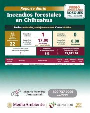 Afecta incendio forestal 17 hectáreas en Janos
