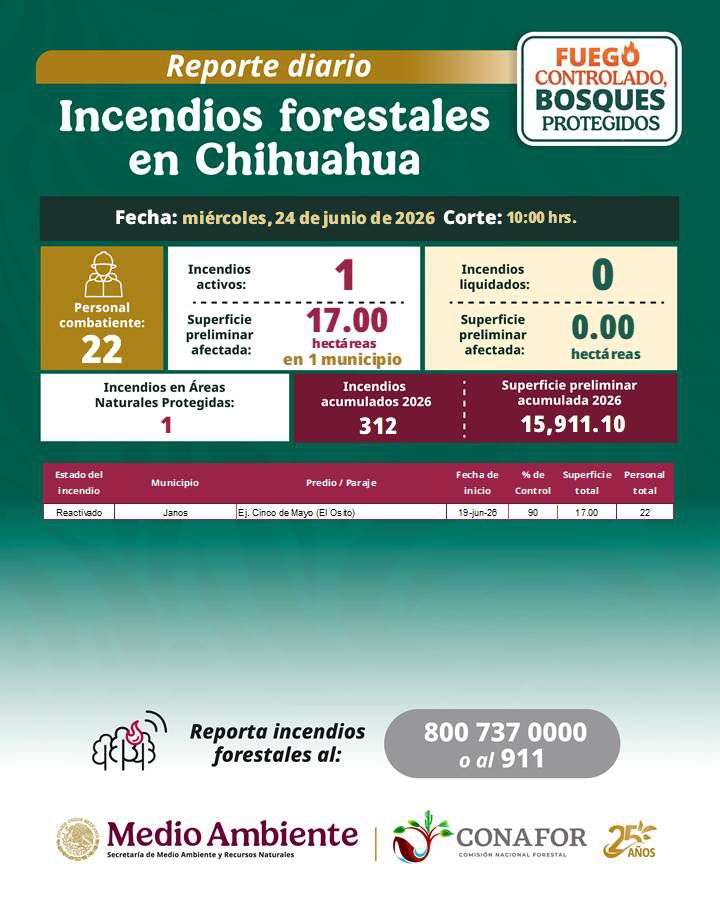 Afecta incendio forestal 17 hectáreas en Janos