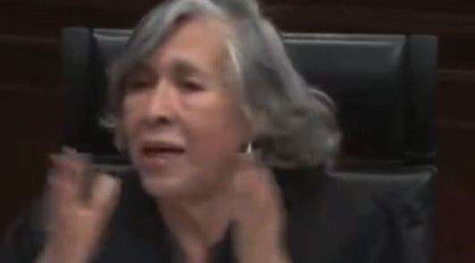 Una trabajadora doméstica no implica una relación laboral: Ministra 