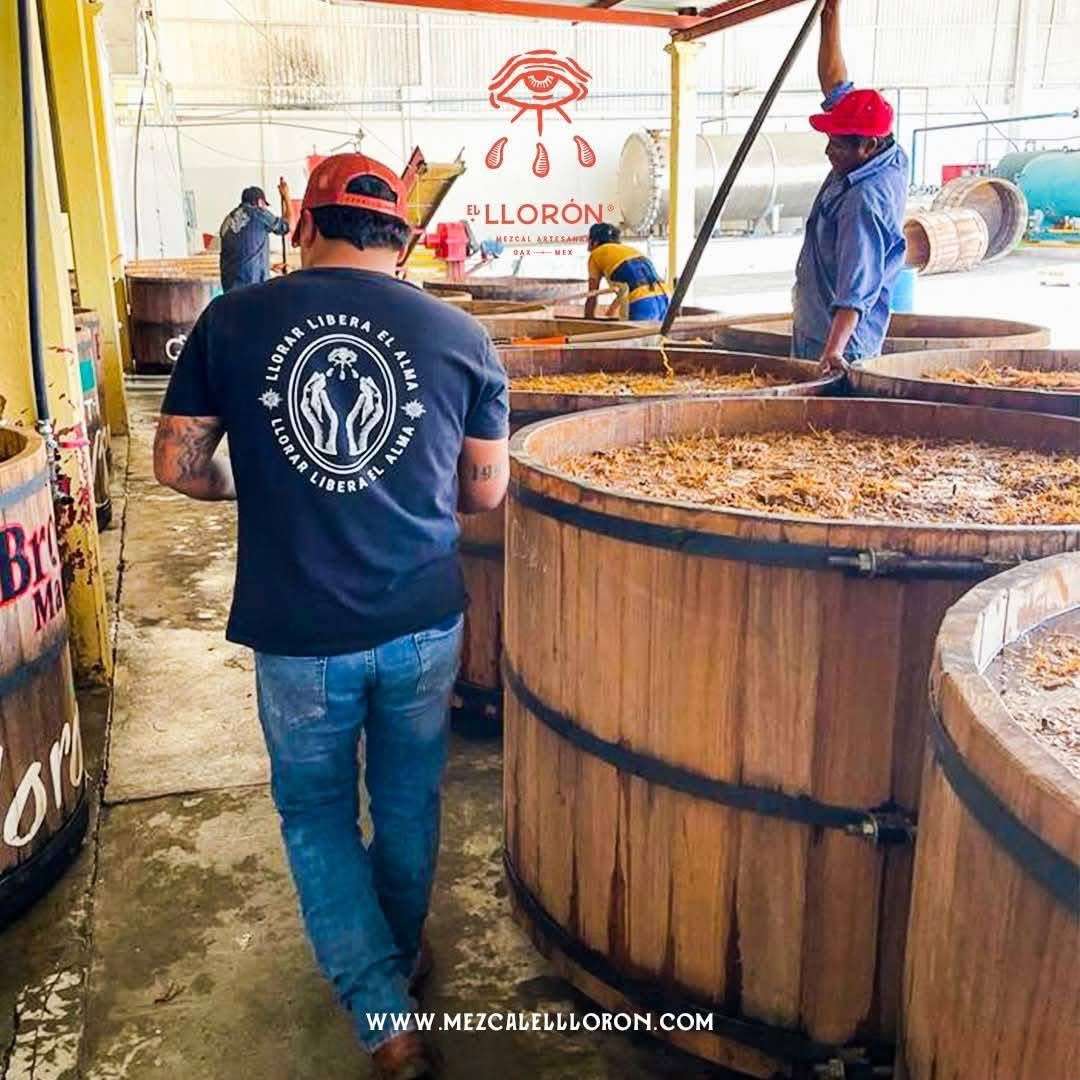 Juárez brinda con El Llorón, el mezcal que marca tendencia
