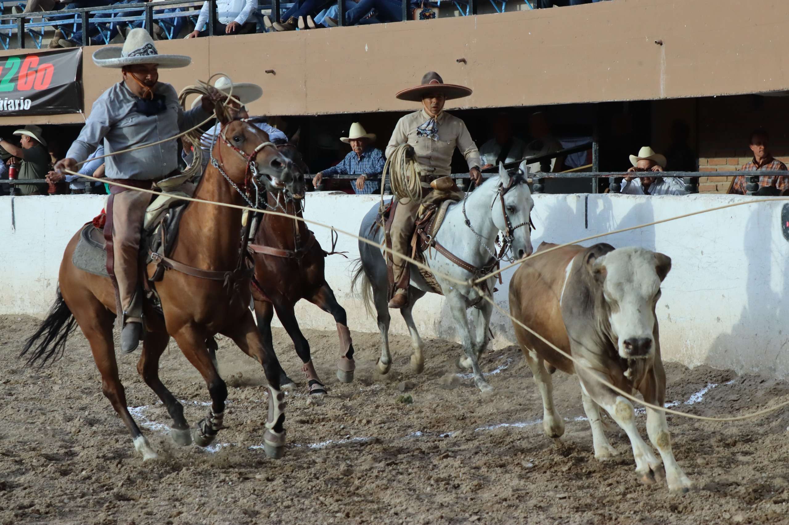 Concluye con éxito campeonato estatal charro 2026
