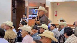 Reciben ganaderos del Sur del Estado capacitación contra el GBG 