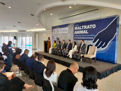 Capacitan a servidores públicos sobre maltrato animal y violencia social