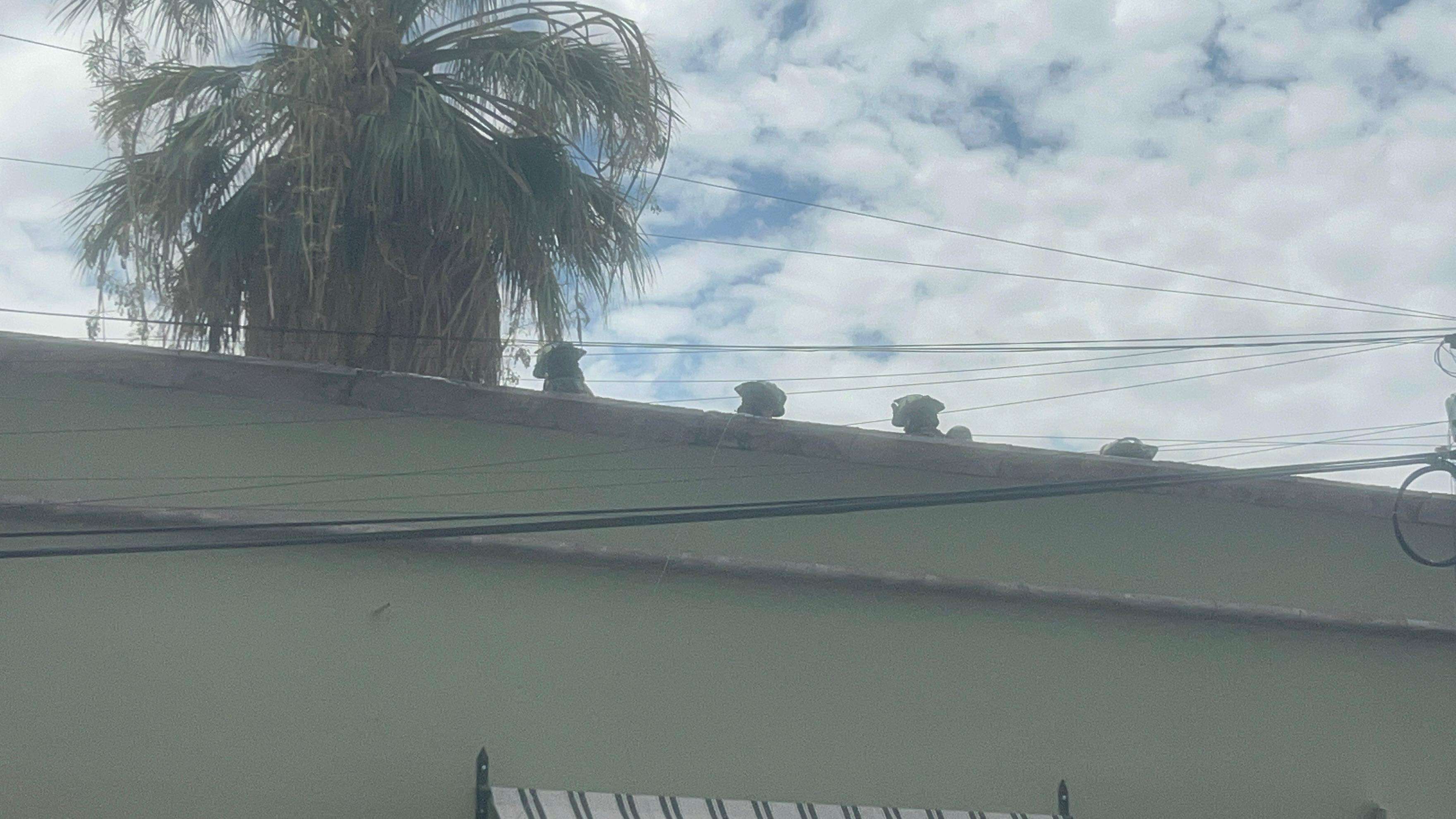 Controlan fuga de gas en tanque estacionario de hotel en el centro