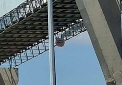 Dejan piñata con forma de cabeza de cerdo y mensaje amenazante 