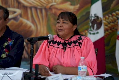 Enoel Carrasco no representa al Consejo Supremo Indígena: Edith Palma
