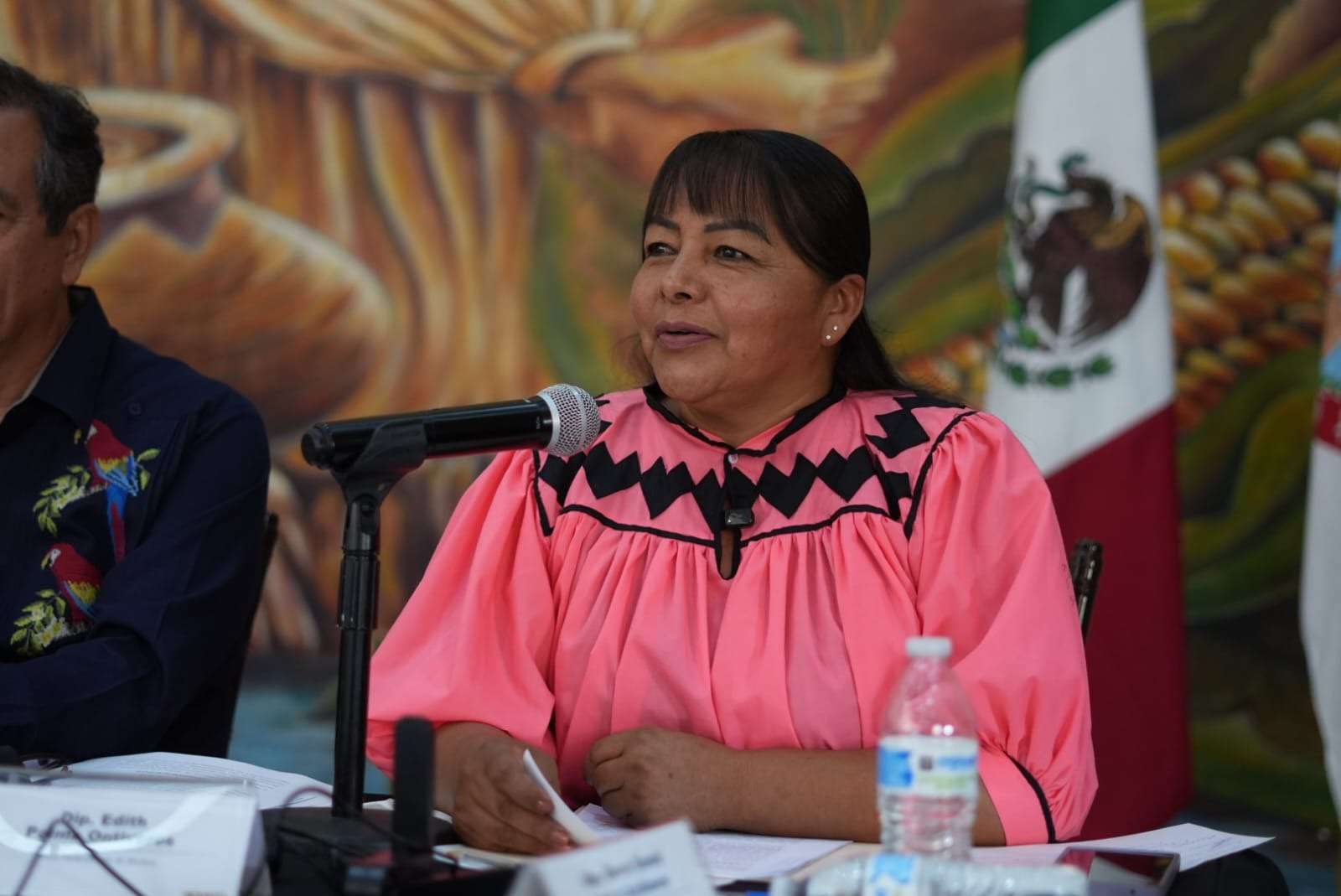 Enoel Carrasco no representa al Consejo Supremo Indígena: Edith Palma