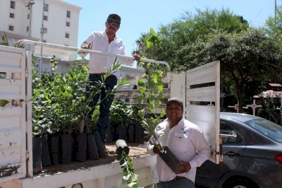 Regalan árboles y semillas para impulsar la reforestación 