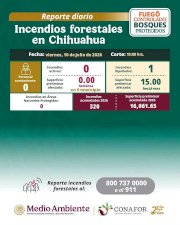 Liquidan incendio forestal que afectó 15 hectáreas 