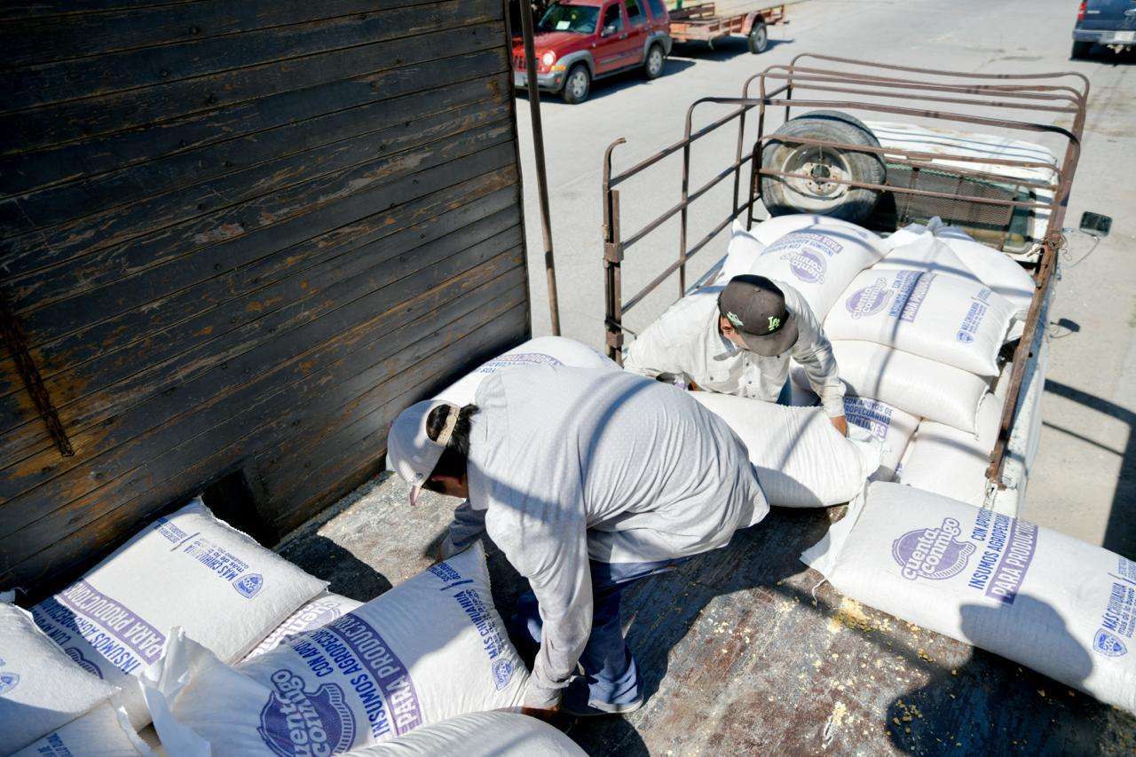 Entrega Estado 60 toneladas de maíz rolado a productores 