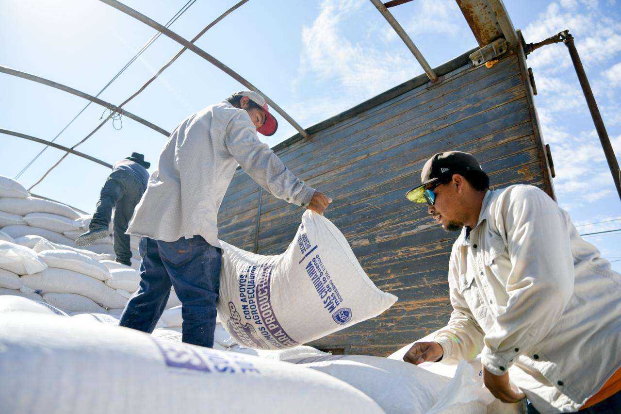 Entrega Estado 60 toneladas de maíz rolado a productores 