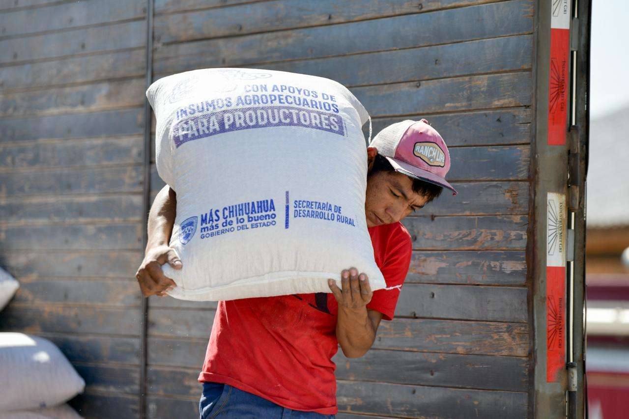 Entrega Estado 60 toneladas de maíz rolado a productores 