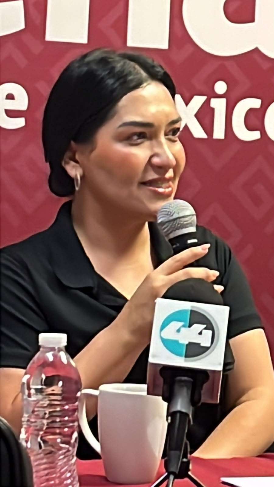 Advierte Morena vigilancia para evitar campañas ostentosas