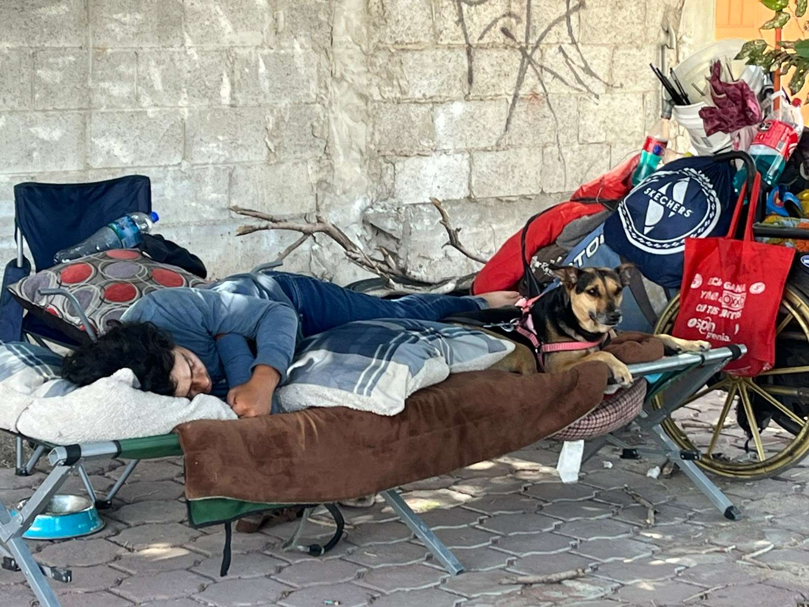 Crisis pega fuerte; hombre acampa bajo un árbol afuera de centro comercial