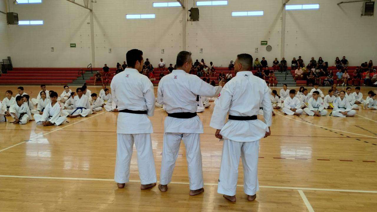 Éxito en el Seminario Táctico Técnico de Karate Shitoryu