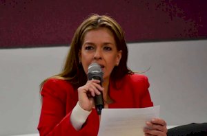 Revisarán iniciativas para reforzar registro de deudores alimentarios