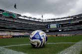 Vende FIFA pedazos del césped donde se jugará la final del Mundial en 450 dólares, ¡Con todo monetiza! 