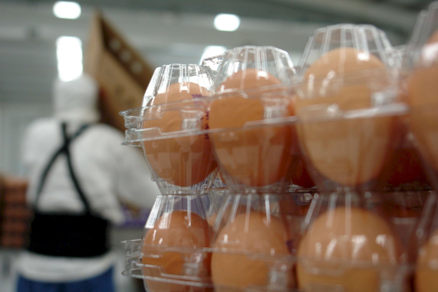 Baja precio del huevo durante junio y registra reducción de 7.21% en su costo