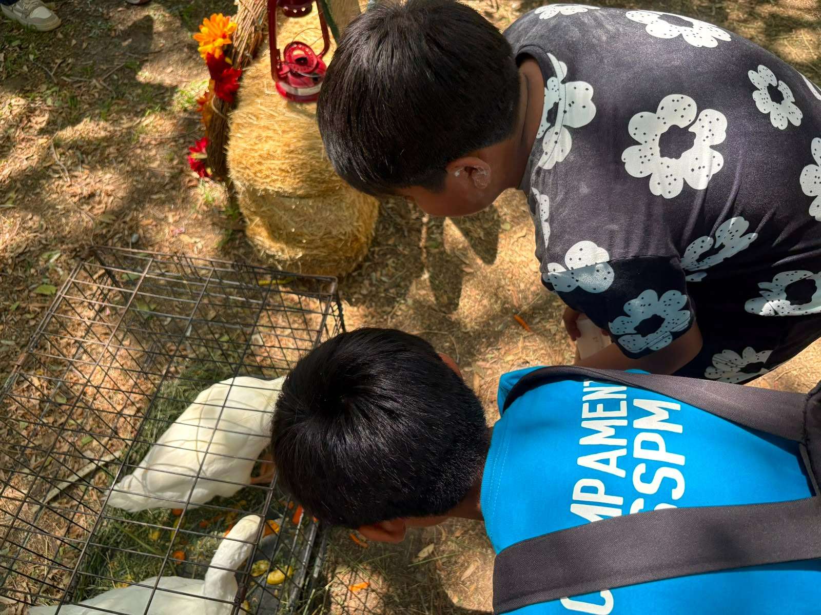 Disfrutan más de 400 menores de actividades recreativas en el Parque DIF