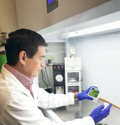Impulsa Uach biotecnología agrícola para combatir sequías y plagas