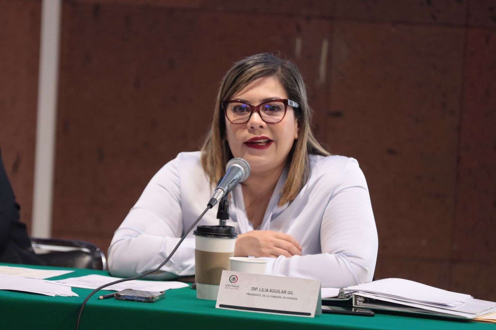 Cruz aún representa al PAN: Lilia Aguilar 