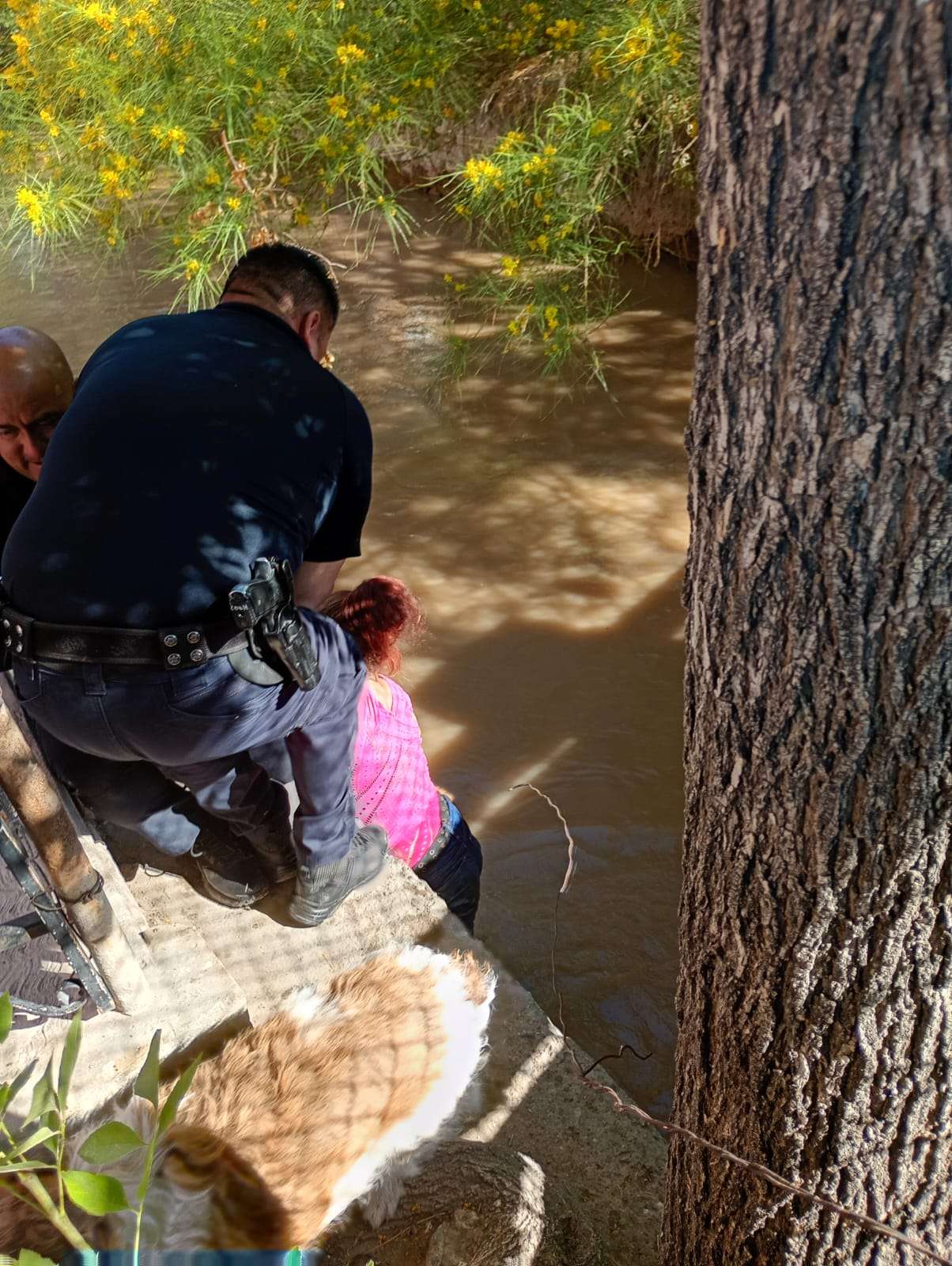 Rescatan a perro atrapado en un canal de la colonia Bellavista