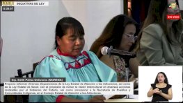 Proponen incorporar visión indígena en leyes de atención a las adicciones 