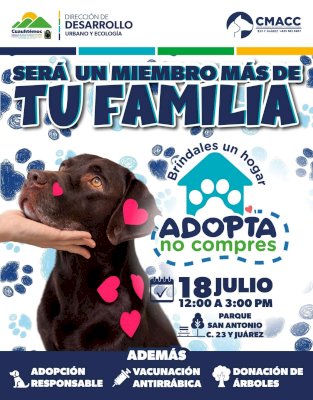 Alistan campaña de adopción de perritos en Cuauhtémoc
