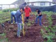 Impulsa Uach investigación para reducir emisiones de metano