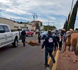 Deja tres heridos choque contra caballo en vía corta Parral-Chihuahua