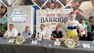 Rompe récord Torneo Box de Barrios con 752 participantes 