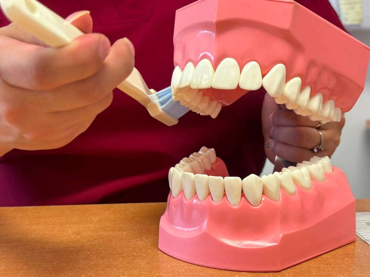 Exhortan a reforzar el cuidado dental de niños durante las vacaciones