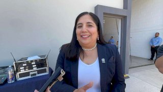 Informa Transparencia sobre plazos y recursos para acceso a la información