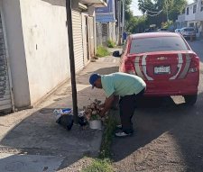 Recoge Servicios Publicos basura de la Quinta y Doblado 
