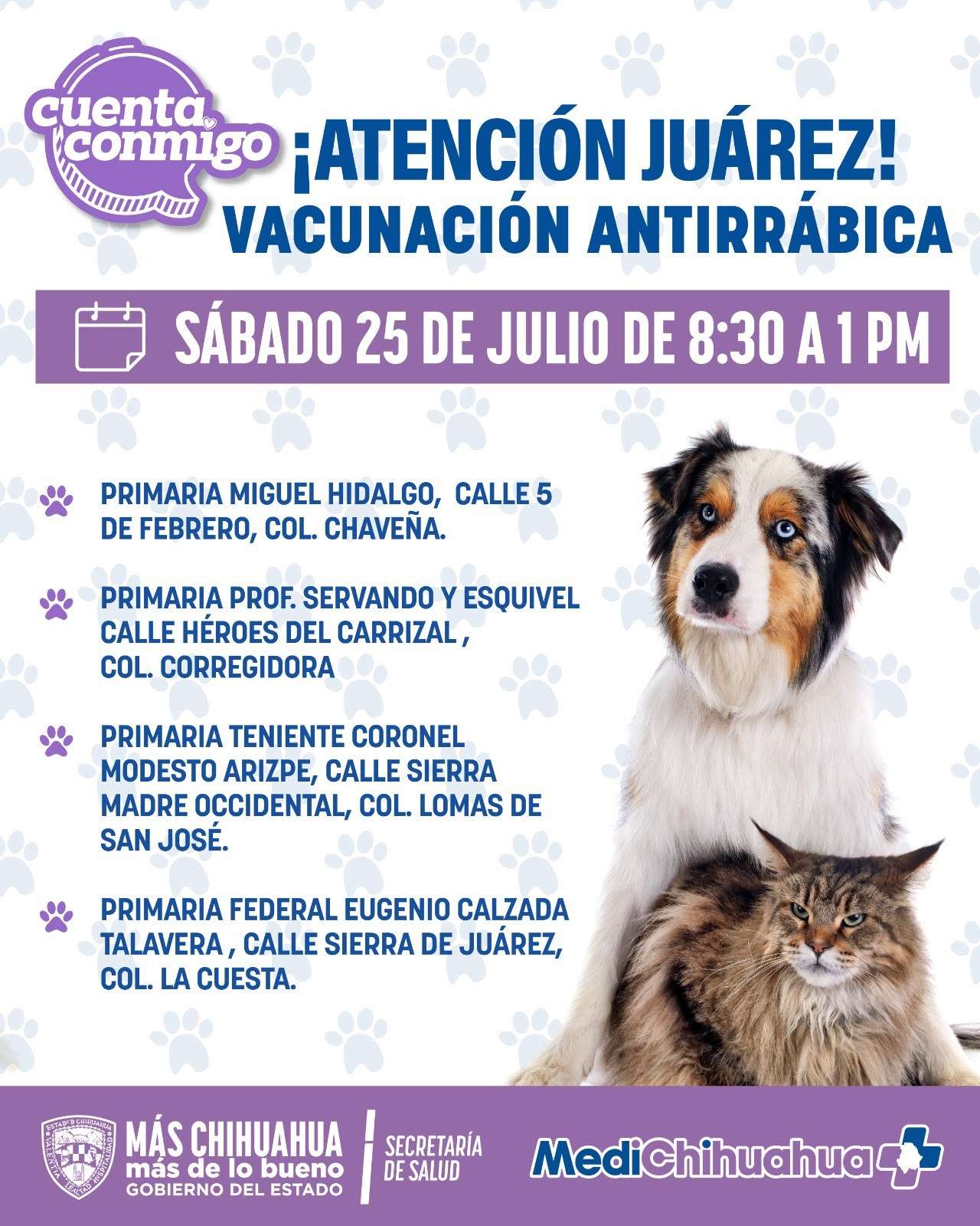 Convoca Salud a jornada gratuita de vacunación antirrábica para perros y gatos