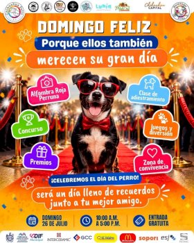 Conmemoran el Día Internacional del Perro en Domingo Feliz